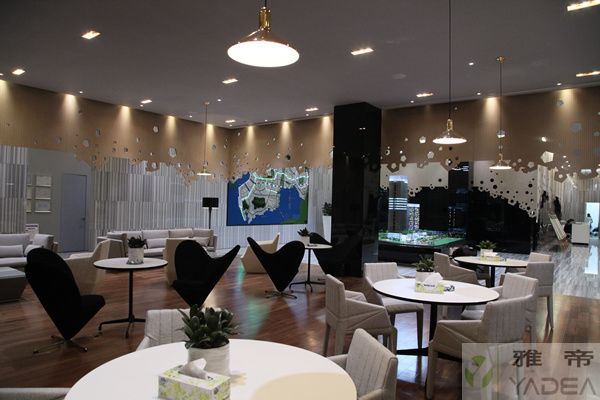 田廈國際工程項(xiàng)目 樣板房用到的雅帝家具 4