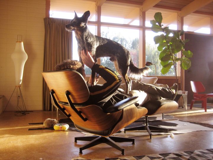 伊姆斯休閑躺椅場(chǎng)景圖